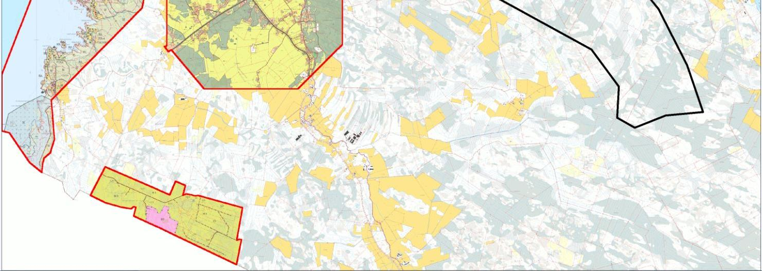 PUSKAKORVENKALLION TUULIPUISTO, YMPÄRISTÖVAIKUTUSTEN ARVIOINTIOHJELMA 33 alueen kehittämistä ja rantayleiskaavan käynnistämistä noin 300 metrin vyöhykkeeltä Pyhäjoen jokirantojen molemmin puolin,