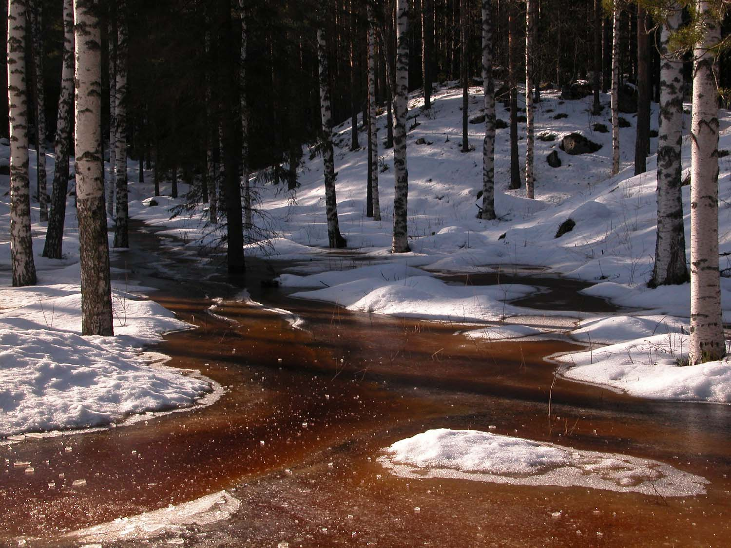 Veden ruskea väri ei johdu likaantumisesta vaan se on