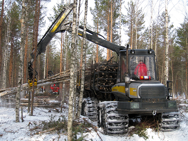 2.3 Koealoilta hakatun puutavaran määrän mittaus Avo- ja harvennushakkuun aikatutkimuskoealoilta hakatun puutavaran määrän mittaus perustui kuormainvaakamittaukseen.