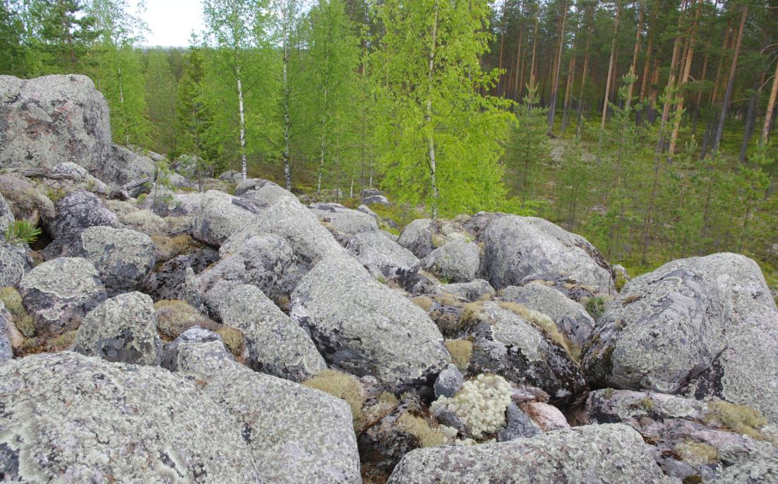 17 puoliskossa todettiin kohtalaisen merkittäviä luonnonesiintymä- ja maisema-arvoja. Kohde luokiteltiin osittain kiviaineksen ottoon soveltuvaksi.