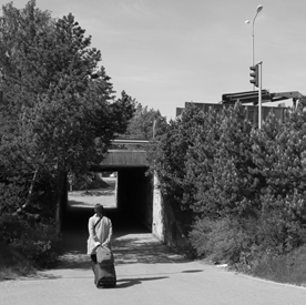 Oleva alikulku Sepänkadulta päin. tuva asfalttipinta porrastuvine reunoineen. Sepänpuistossa on pieni vesiaihe. Puisto on arvokas toimintapaikka skeittaajille.