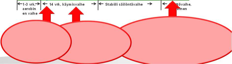 AIV säilörehun säilöntäprosessissa Niitto Korjuu Siilon sulkeminen ESIKUIVAUS SÄILÖNTÄ RUOKINTA Yhteenveto AIV-rehusta happi Aerobisten mikrobien toiminta ph Maitohapon tuotanto happi Stabiili rehu
