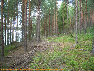 6 Linhamari Fiskarsinharju, kivikautinen asuinpaikka Rauh.