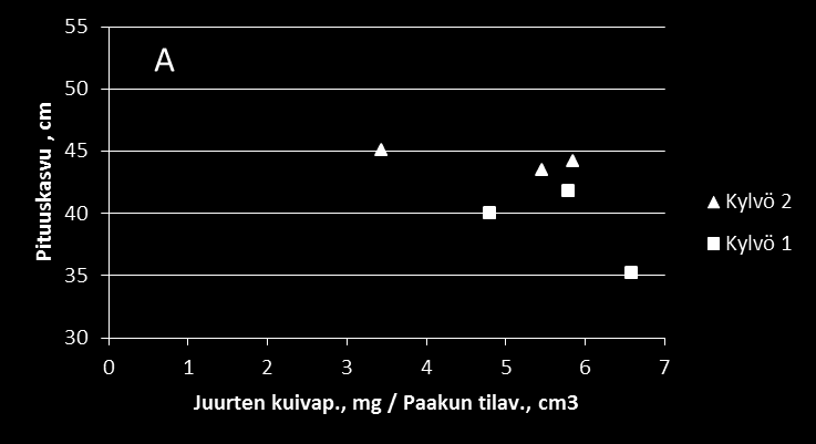Juuriston pakkautuminen heikentää pituuskasvua kentällä 1-vuotiaana istutetut (4 kasvukautta) 2-vuotiaana istutetut (3 kasvukautta) Partanen, J. 2015.