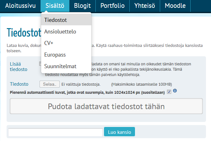 Alkuvalmistelut Ennen portfolion luomista on oleellista, että CV on jo tehty (ks. erillinen ohje). Kaikki CV:n kohdat ovat helposti otettavissa mukaan portfolioon.