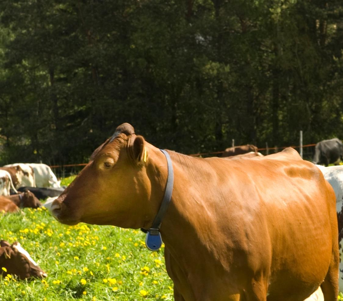 Kokeilemme ja kehitämme: Ravinteiden kierrätysohjelma Saaristomeri kuntoon, ravinteet kiertoon ja hyötykäyttöön.