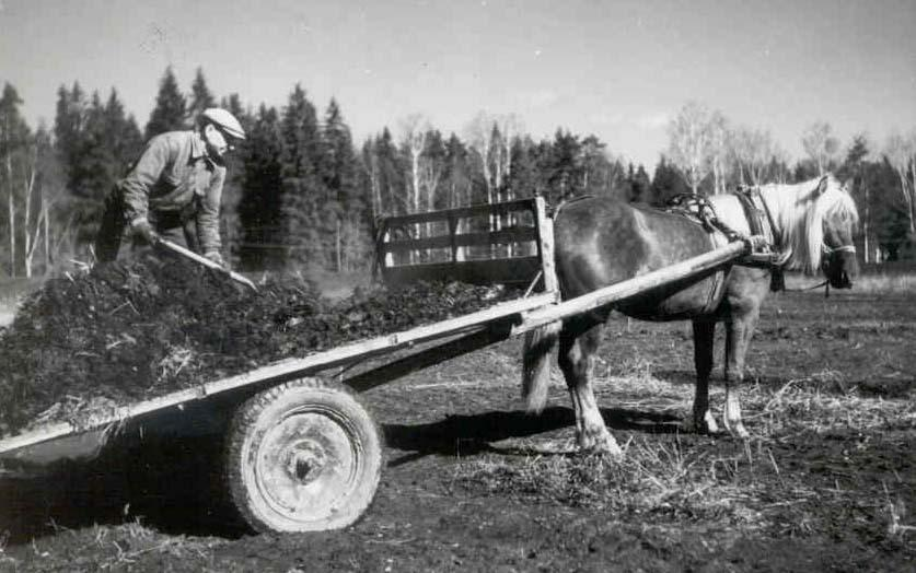 Riittääkö Suomessa peltoa biokaasuntuotantoon?