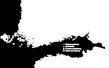 5 Kompressoriasemat: Kompressoriasemien tarkoituksena on nostaa kaasun painetta ja siten lisätä maakaasuverkoston siirtokapasiteettia.