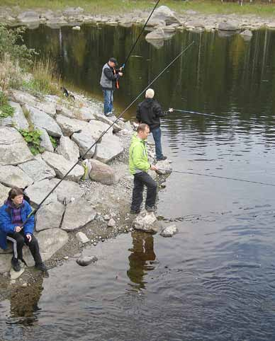 Vesistöjen tarkkailu Pielisjoen ja Pyhäselän vesistön ja kalaston yhteistarkkailua jatkettiin vuosille 2009 2016 päätetyn tarkkailuohjelman mukaisesti.