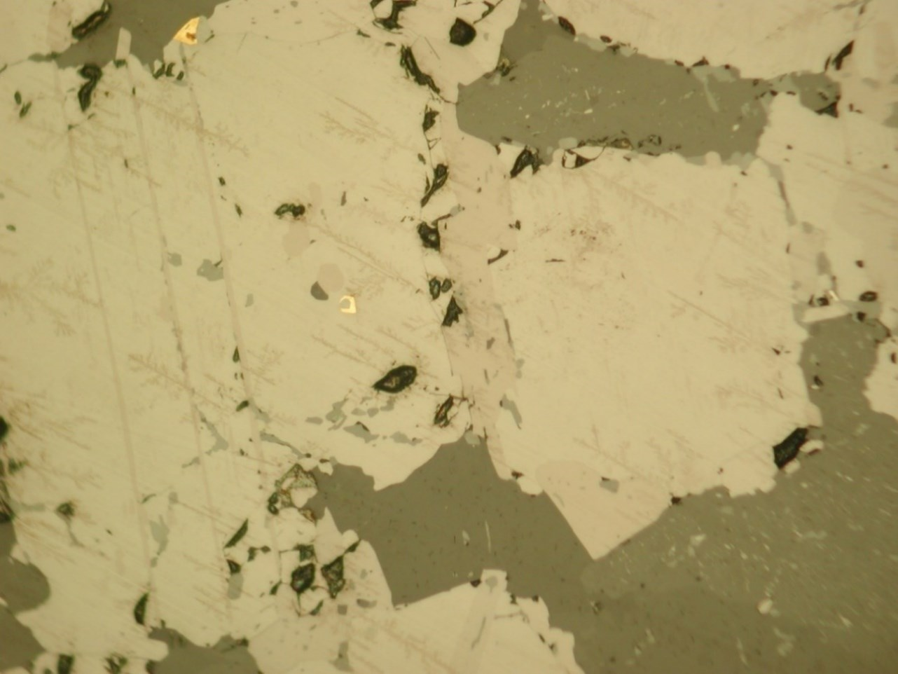 Kuva 27. Mikroskooppikuva ilmeniitin esiintymisestä magnetiitin 111-tasojen suuntaisina suotaumina. Keltaiset mineraalit kuparikiisua. Heijastava valo, nikolit //. Kuvan leveys 1,1mm.