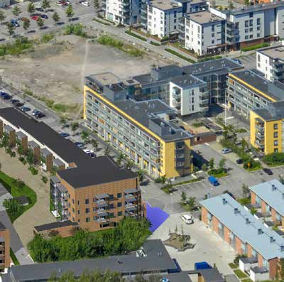 Naapurina luonto Viikin Latokartanossa on yksi pääkaupunkiseudun upeimmista agraarimaisemista ja monipuolisimmista lintujen bongauspaikoista. Ja vain vartin ajomatkan päässä Helsingin ydinkeskustasta.