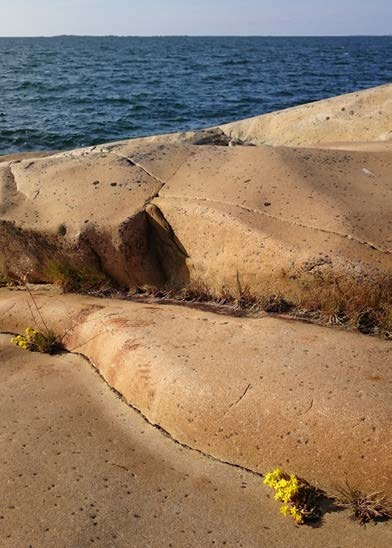 Avaa uutiskirje selaimessa Selkämeren uutiskirje Koskelo Toivotamme kaikille rauhaisaa joulunaikaa, kiitämme kaikkia Selkämeren hyväksi uurastaneita ja puhallamme tuulta yhteisiin purjeisiin myös