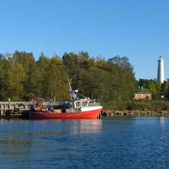 Vähä-Haurunen Pyhämaan edustalle, kansallispuistoon kuuluvaan Vähä-Haurusen saareen kunnostetaan uutta retkikohdetta. Jatkossa saaressa sijaitseva mökki toimii päivätupana Selkämerellä liikkuville.