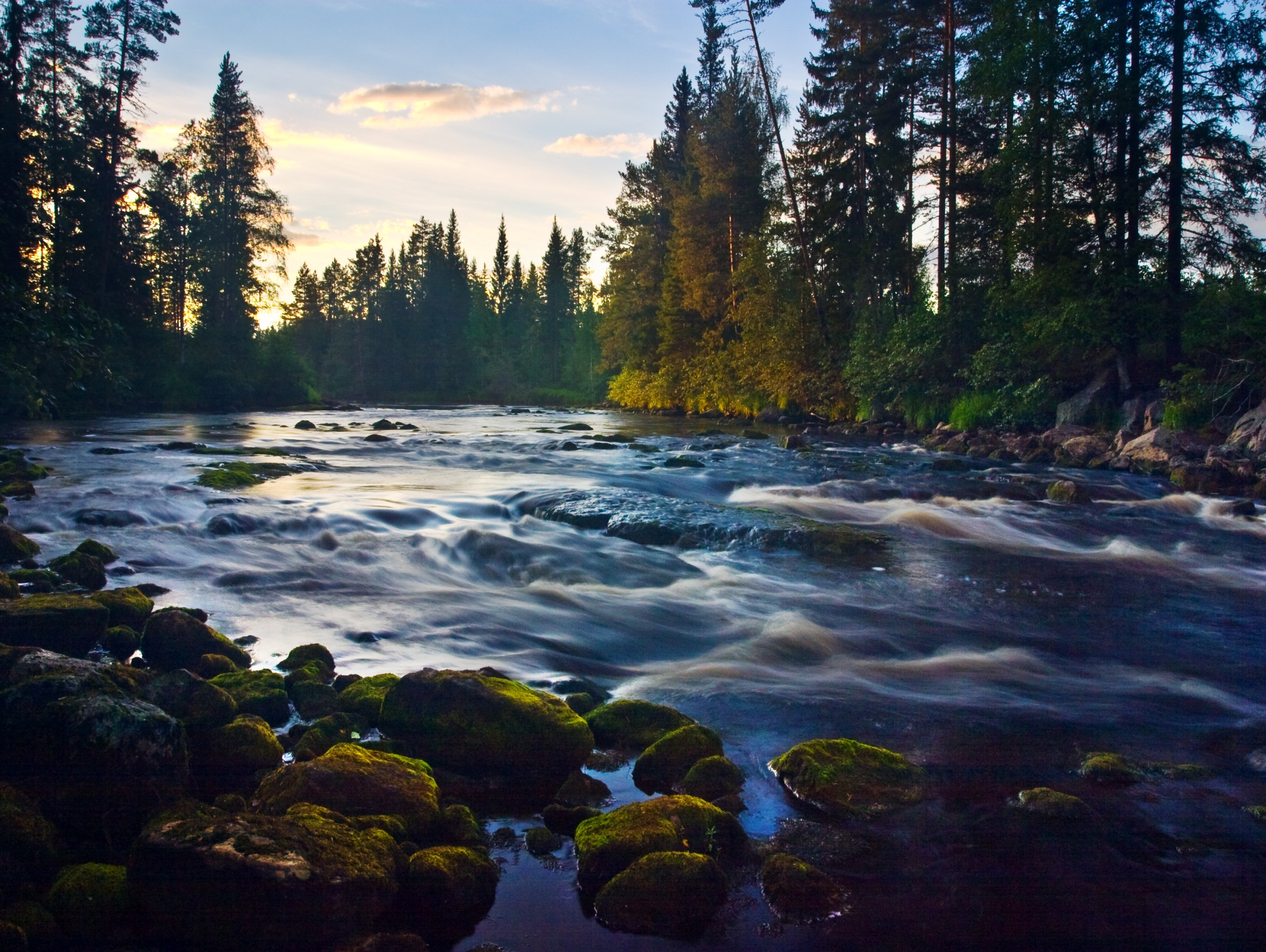 Metsätalouden vesistökuormituksen seurantaverkko -mihin sitä tarvitaan?