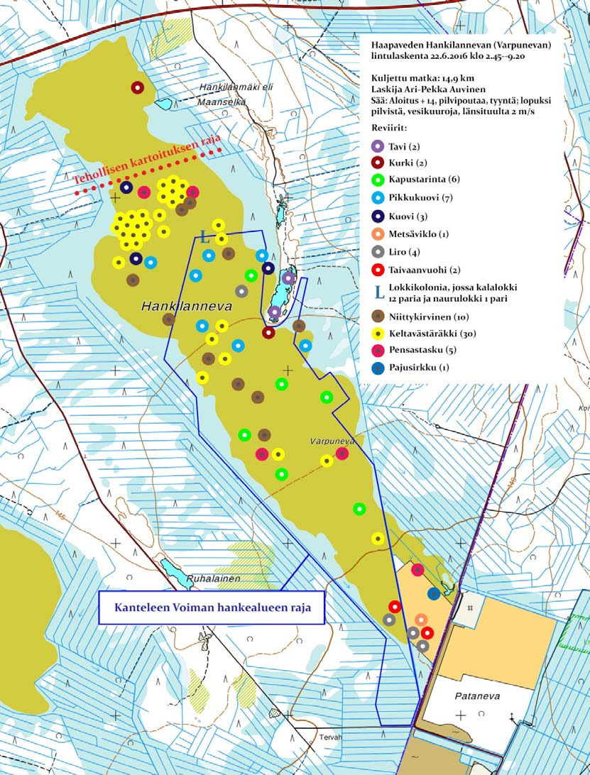 Kuva 2. Hankilannevalla 22.6.