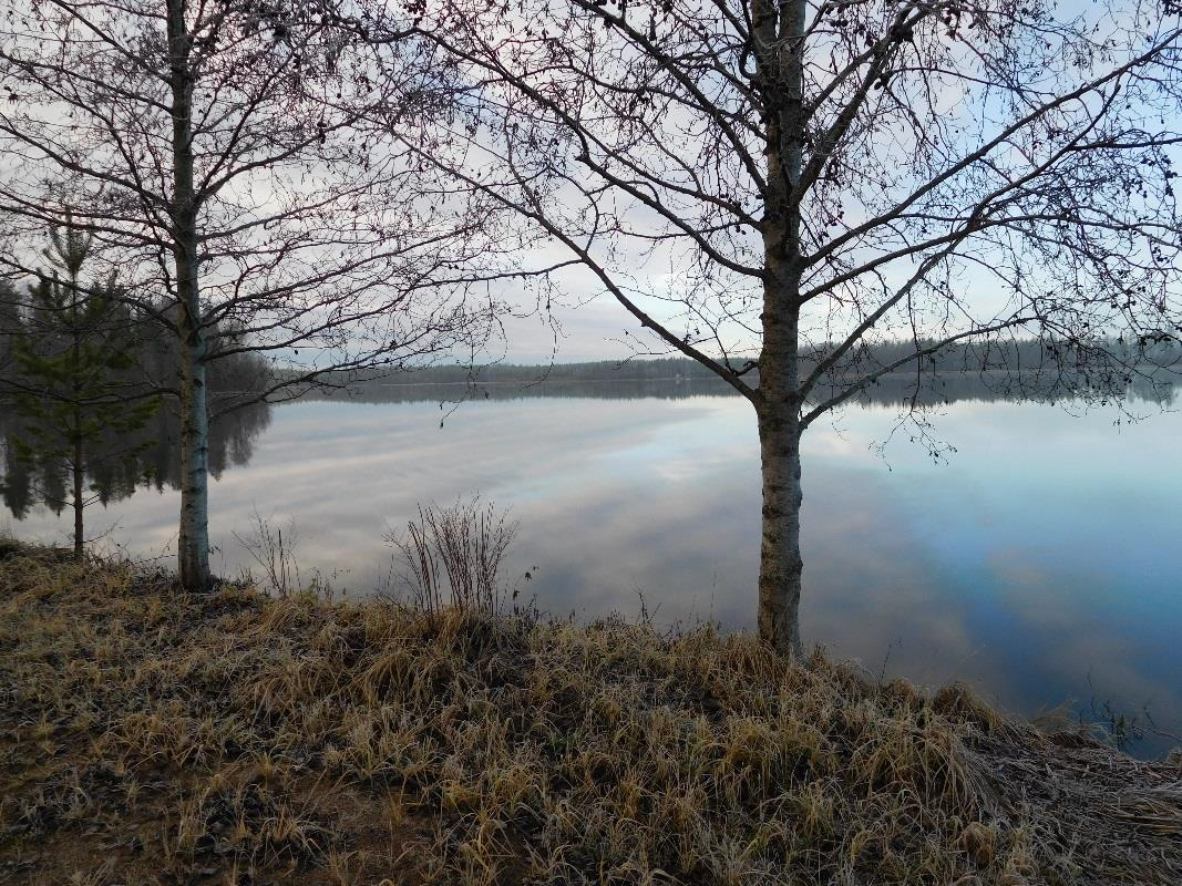 8. Kortesjärven taajama, Haarusjärven ranta-asemakaavan laatiminen.