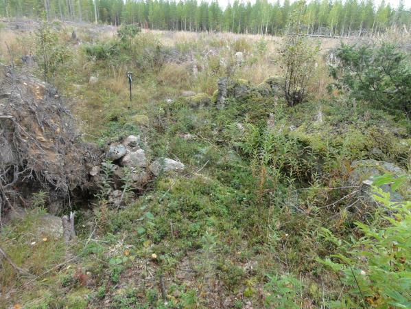 16 JUUKA 80 ALA-RUOKONEN NE Mjtunnus: Rauh.