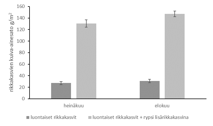 35 tyillä ruuduilla 445 kpl/m2, josta rypsin osuus oli 79 prosenttia. Aluskasviseoksilla ei ollut merkitsevää vaikutusta. Myöskään yhdysvaikutuksia ei havaittu.