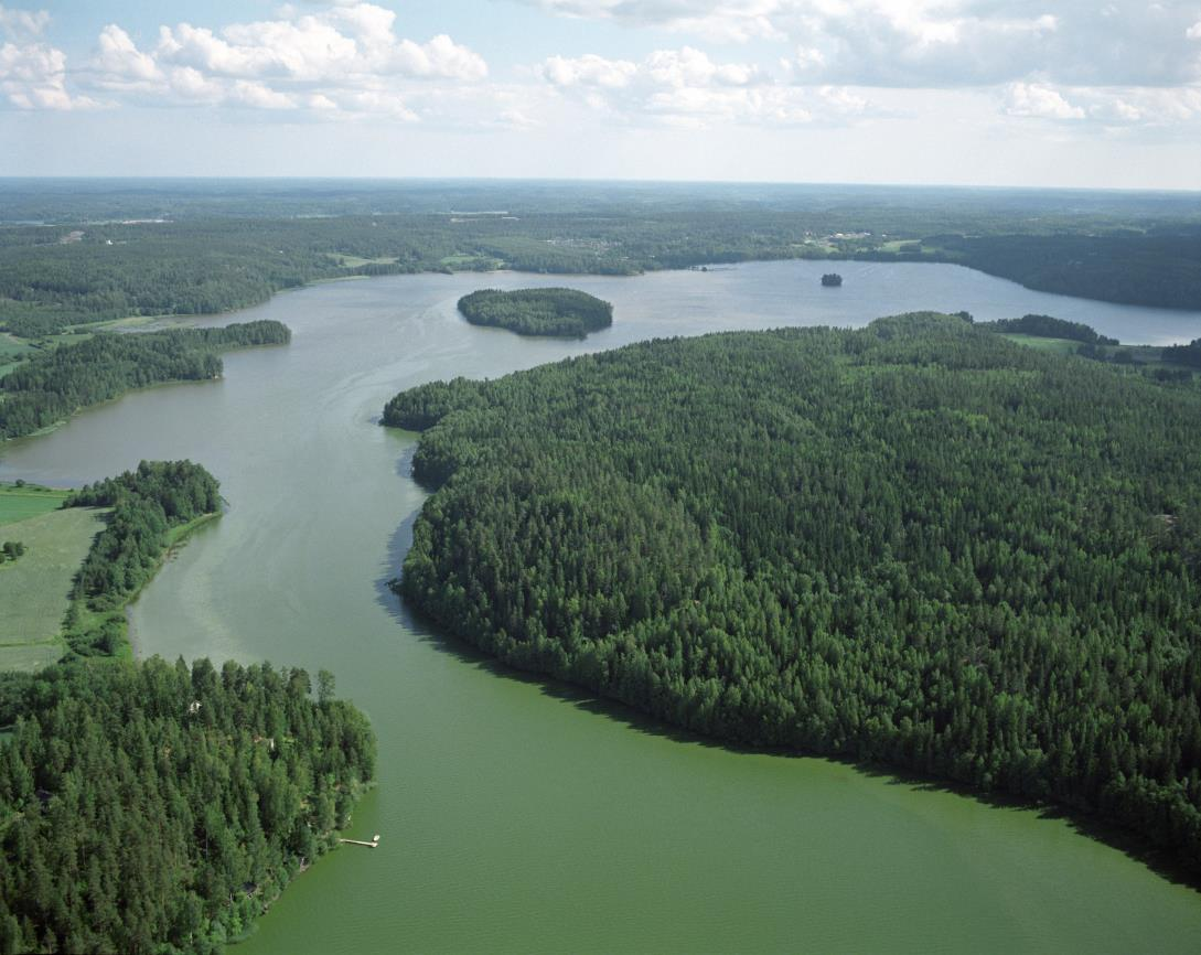 Rehevöityneen järven