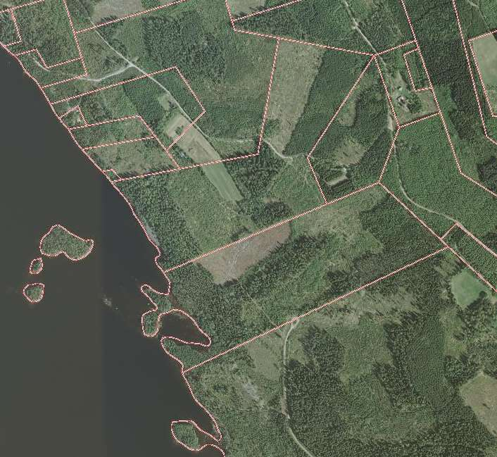 PIELISEN RANTAOSAYLEISKAAVAN MUUTOS Suunnittelu Haltilahti 7 Kuvat 2 ja 3. Tilojen Pielismaa 3-8 ja Alanko 4-93 palstat. Eteläisempi tila Pielismaa on pinta-alaltaan noin 20,3 hehtaaria.
