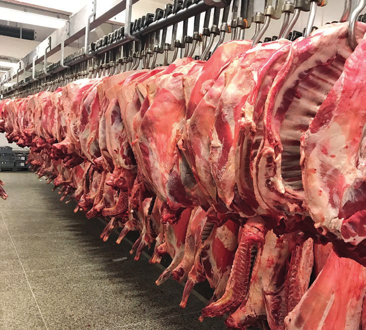 UUTISPUUROA Palstalla ilmoittajamme ja yhteistyökumppanimme kertovat tuotteistaan ja toiminnastaan. Asiakkaan suusta Bergfalkin tuotevalikoima on erinomainen, olipa sitten kyse lihasta tai kalasta.