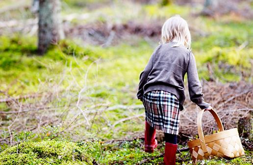 Sosiaali- ja terveydenhuollon uudistus ja hallitusohjelman kärkihankkeet lapsija