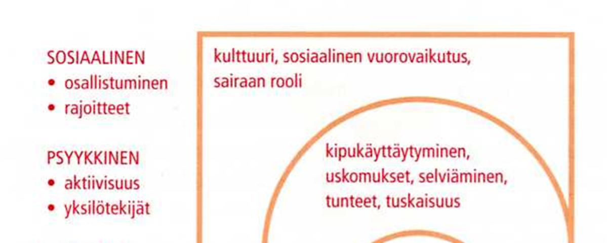 10 KUVIO 1. Biopsykososiaalinen malli Waddelin (2004) mukaan (Ojala 2008, 39). 3 SELÄN RAKENNE JA KIPUMEKANISMIT 3.