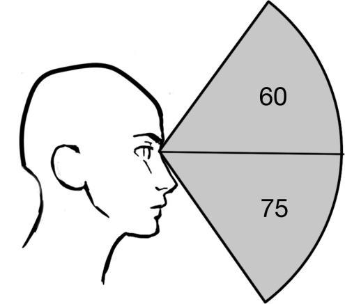 ) Ihmisen normaalin näkökentän rajat yhdellä silmällä kerrallaan ulottuvat nasaalisesti, eli nenän puolelle 60 astetta ja temporaalisesti, eli ohimon puolelle 100 astetta (Kuvio 3) (Gurwood Muchnick