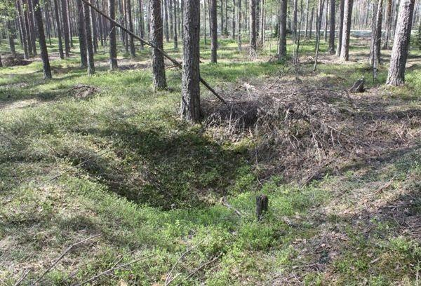 tuli normaali maannos eli turve, ohut huuhtoutumiskerros ja puhdas pohjahiekka.