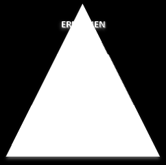 Yksilöllistäminen Toiminta-alueittain opetus