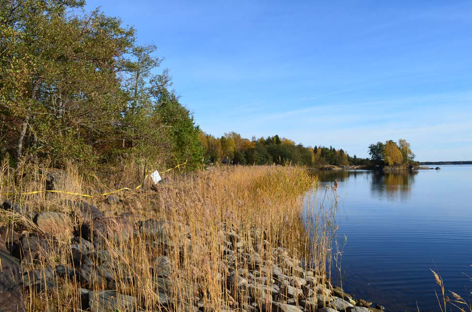 käytettäisiin kulkuun uudelle