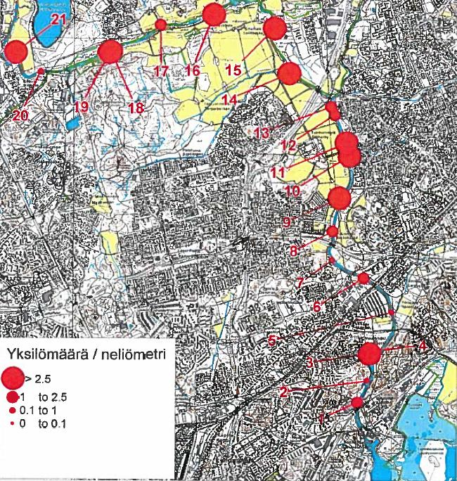 NATURA-ARVIOINTI 76 Vuollejokisimpukka Vantaanjoki on vuollejokisimpukan tärkein esiintymisalue Suomessa ja joessa elää 15 % Suomen vuollejokisimpukkakannasta.