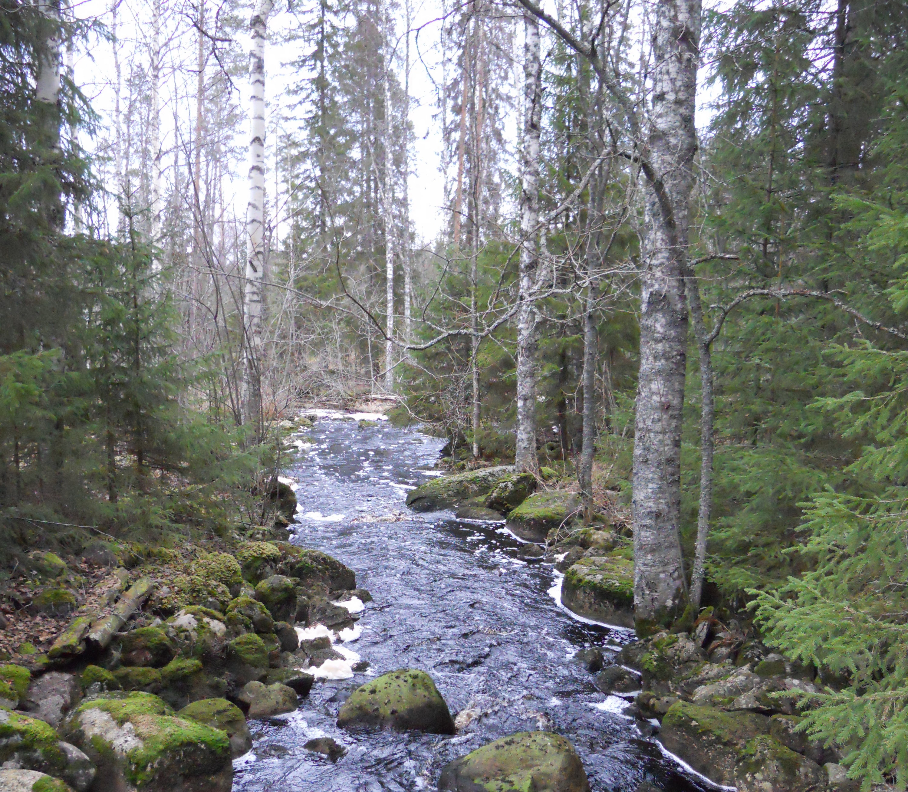 PUREVA-selvityksen tulokset