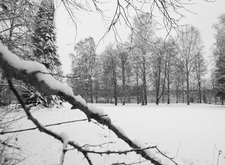Lutakonpuisto avautuu Jyväs J C