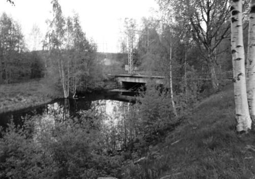 reittiyhteyden.