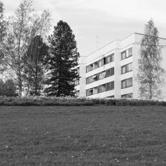 Ekologisissa arvoissa on otettu mukaan luonnon monimuotoisuutta tukevia biotooppeja, alueita sekä yhteyksiä. Kulttuurihistoriallisissa arvoissa on otettu huomioon mm.