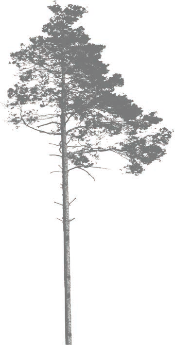 Täten rauhallisia oleskelupaikkoja on Kehä Vihreällä suhteellisesti melko vähän.