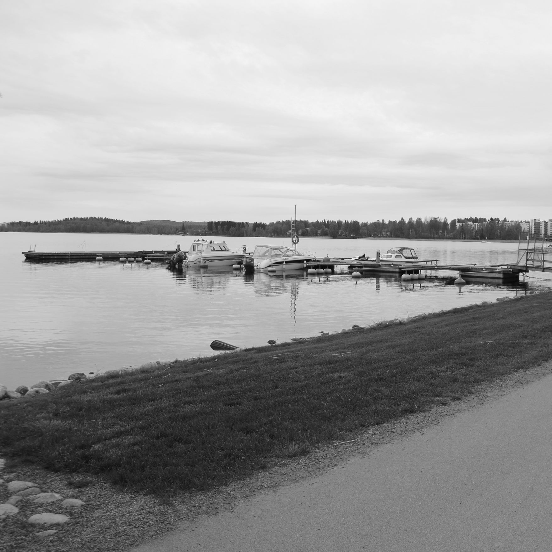 2. PUISTOMAISET RANNAT