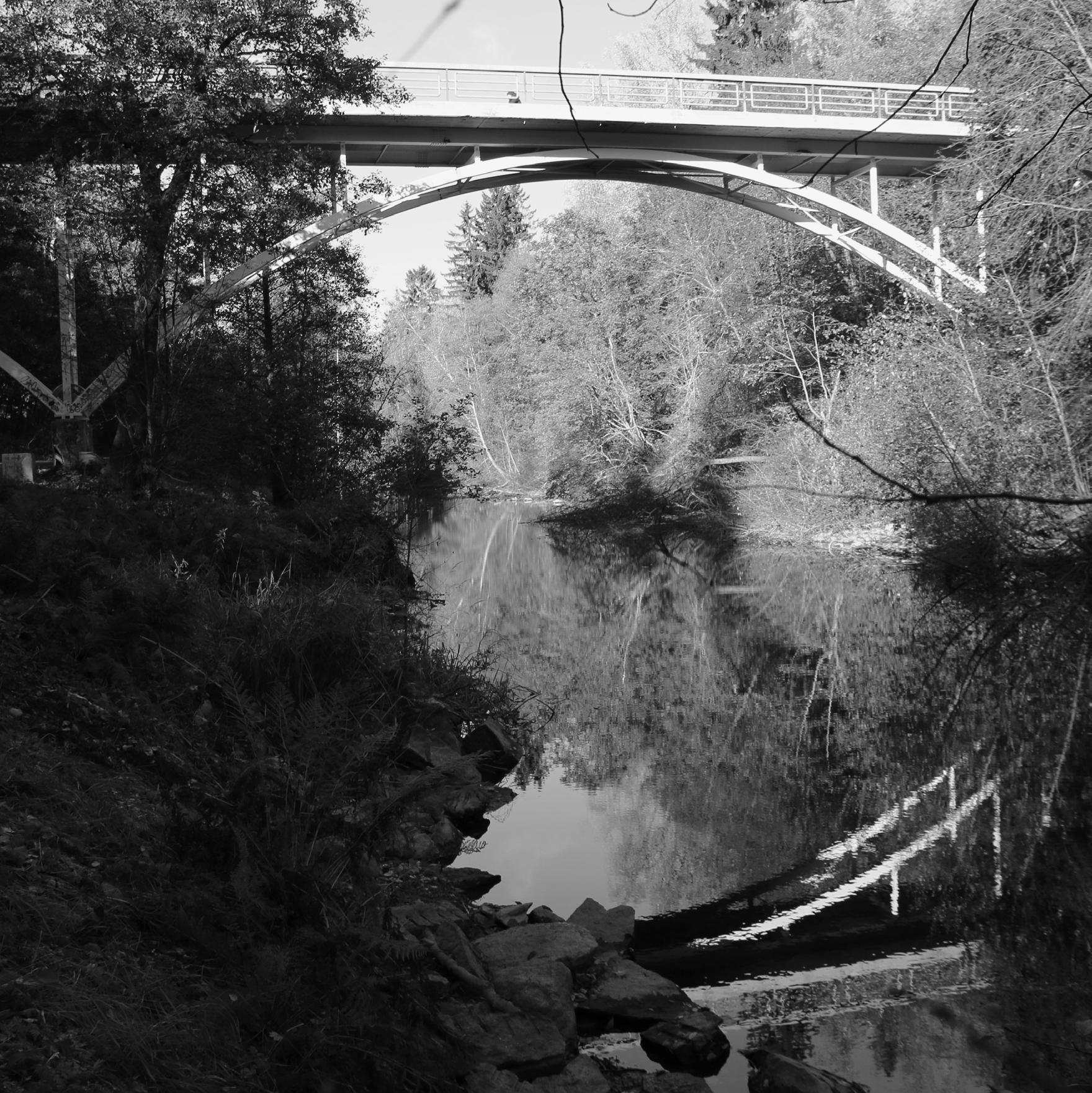 3. JYRKKÄPIIRTEINEN JA PUUSTOINEN JOKILAAKSO