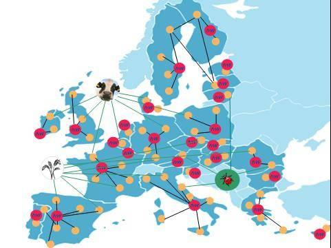 EIP (European Innovation Partnership) Maa- ja metsätalouden tuottavuutta ja kestävyyttä koskeva eurooppalainen innovaatiokumppanuus HUOM: alustavaa suunnittelua: Toteuttajina: EIP-ryhmät /maaseudun