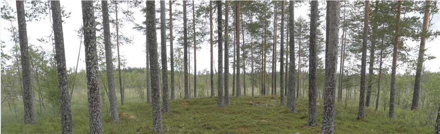 Pohjoisilla alueilla maanpinnan korkeus on noin +110 m mpy ja alueen eteläosassa noin +150 m mpy. Kuva 26. Iso Tuohineva. Antje Neumann. Kuva 27.