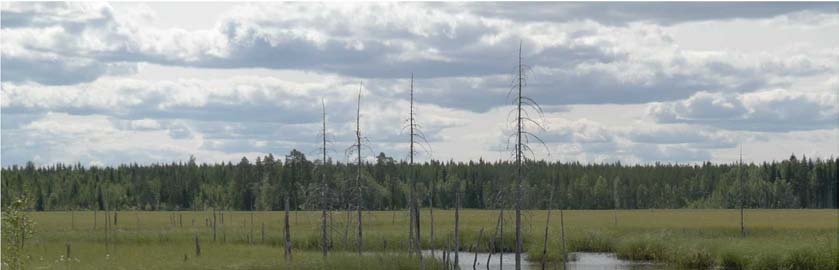 TOHOLAMPI-LESTIJÄRVEN TUULIPUISTO, YMPÄRISTÖVAIKUTUSTEN ARVIOINTIOHJELMA 39 Kuva 31. Haarajärvi Toholammilla. Antje Neumann. Kuva 32. Iso Salmijärvi Lestijärvellä.