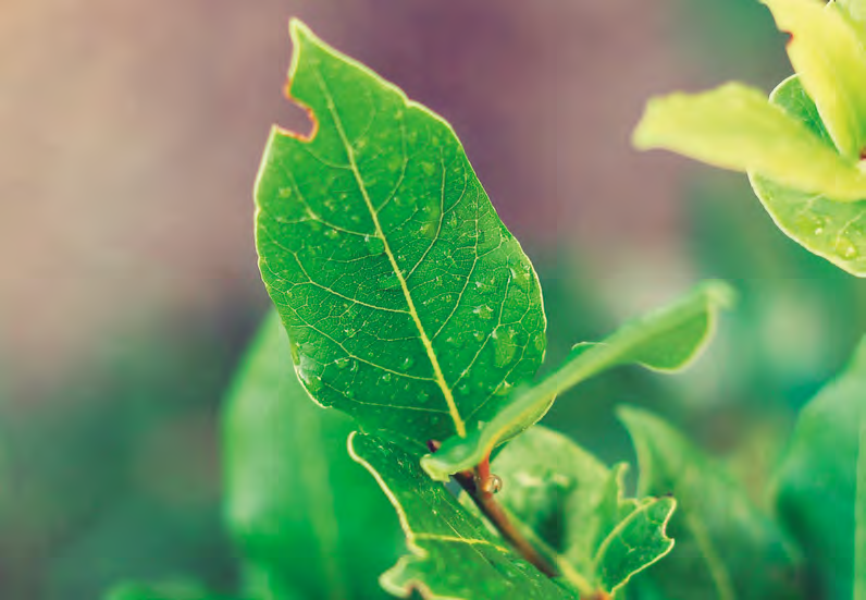 Panasonic vihreintä elektroniikkaa Interbrand valitsi Panasonicin parhaaksi elektroniikan tuotemerkiksi Best Global Green Brands 2014 -kilpailussa.
