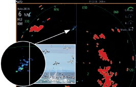 TUTKA HALO -TUTKA Mullistava uusi Simrad Halo -tutka tekee navigoinnista turvallisempaa kuin koskaan, helpottaa sään tarkkailua