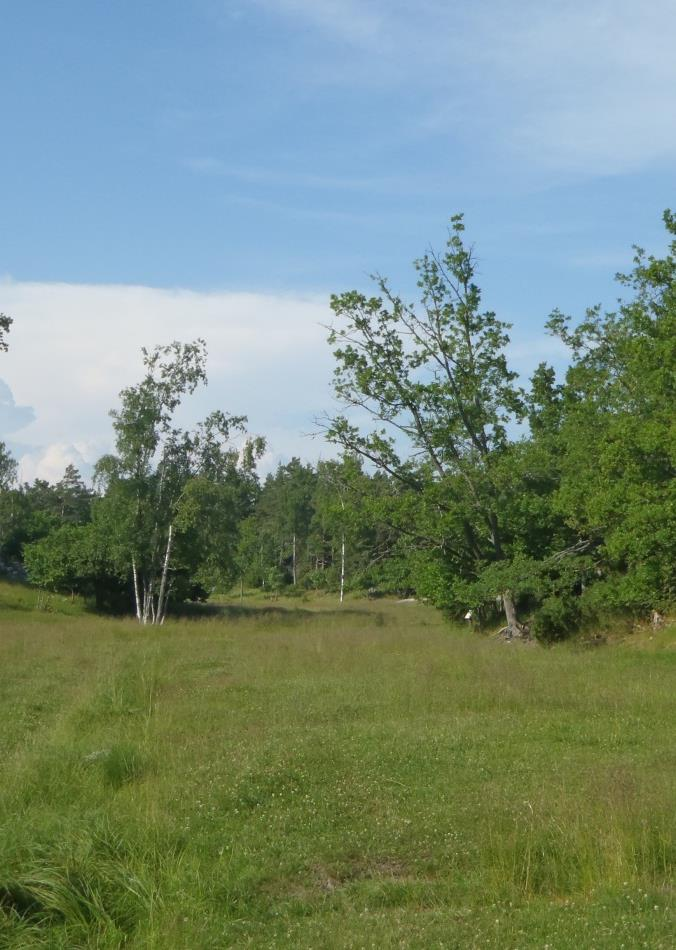 Perinneympäristöjä on jäljellä enää todella vähän Metsälaidun Hakamaa Lehdesniitty Nummi Keto Niityt Rantaniityt Tulva- ja suoniityt Muu Yhteensä 5471 ha