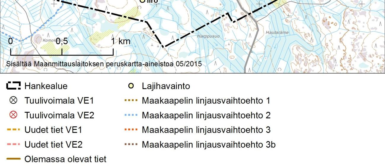 lähellä toista soidinpaikkaa nähtyä poikuetta.