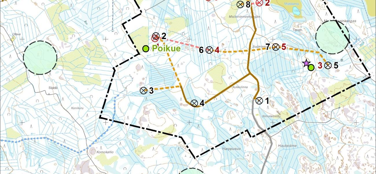 Ainoa linnustoselvityksissä havaittu pöllölaji oli viirupöllö.