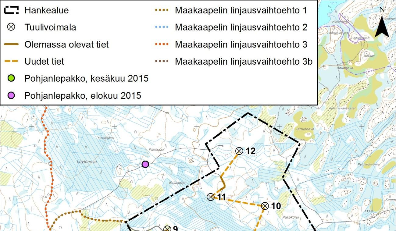 49 toniemenkankaan eteläpuolella, tien varressa oleva metsästysmajan alue, Sudenselän länsipuolella, tien varressa olevan riihen ympäristö sekä Sudenselän eteläpuolella sijaitseva ojitettu,