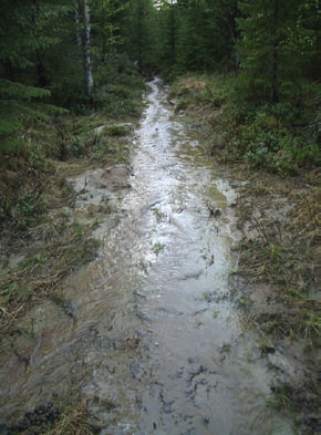 Ojitukset muuttavat purojen hydrologiaa ja aiheuttavat kiintoaine- ja ravinnekuormitusta.