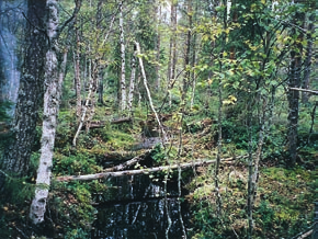 3 Kunnostusmenetelmät Eero Hartikainen, Matti Havumäki ja Eero Moilanen Purokunnostukset jaetaan uoma- ja valumaaluekunnostuksiin.